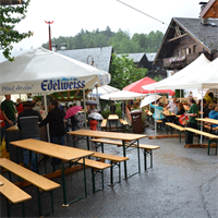 2016-07-02+Piburger+Brunnenfest+-+Abends+(20)